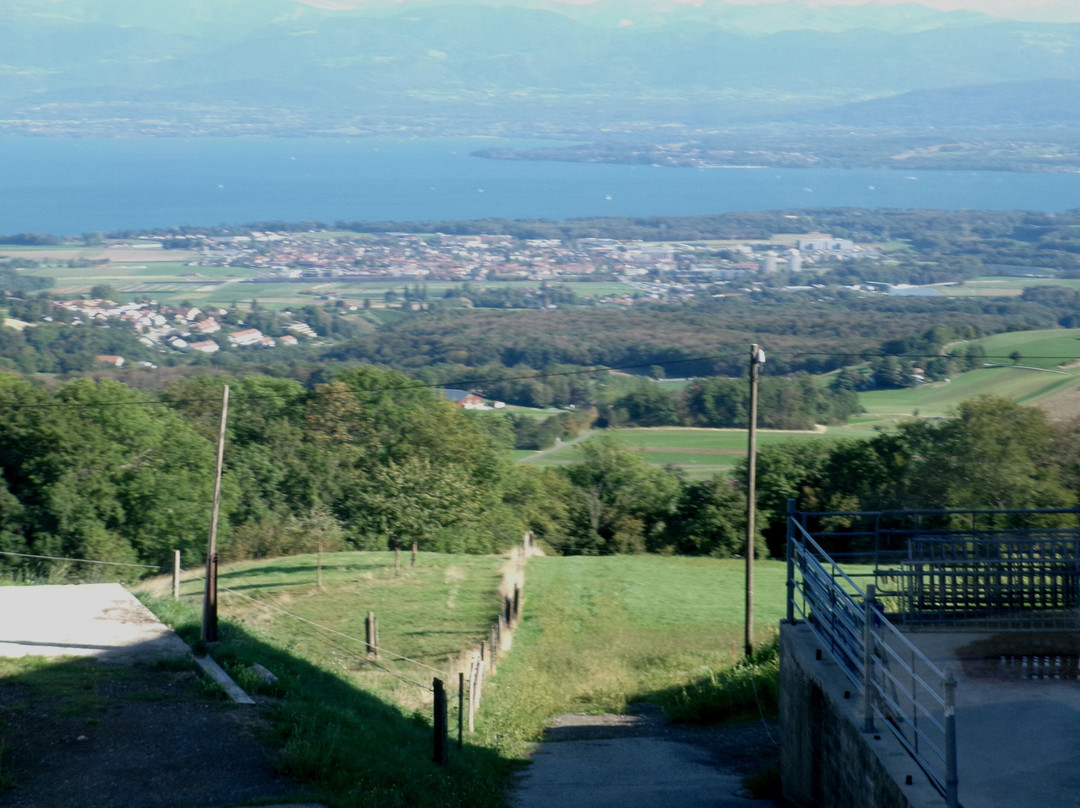 Nyon St-Cergue La Cure Railway-尼永必去景点