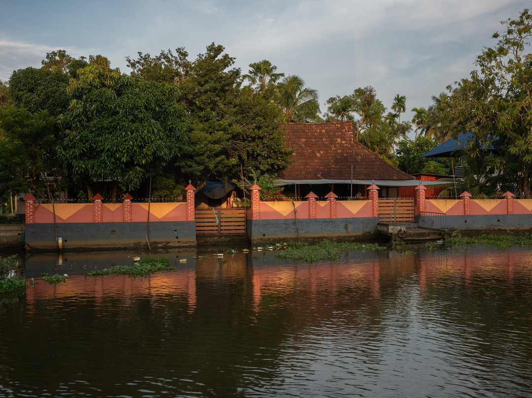 Blue Jelly Marina主图