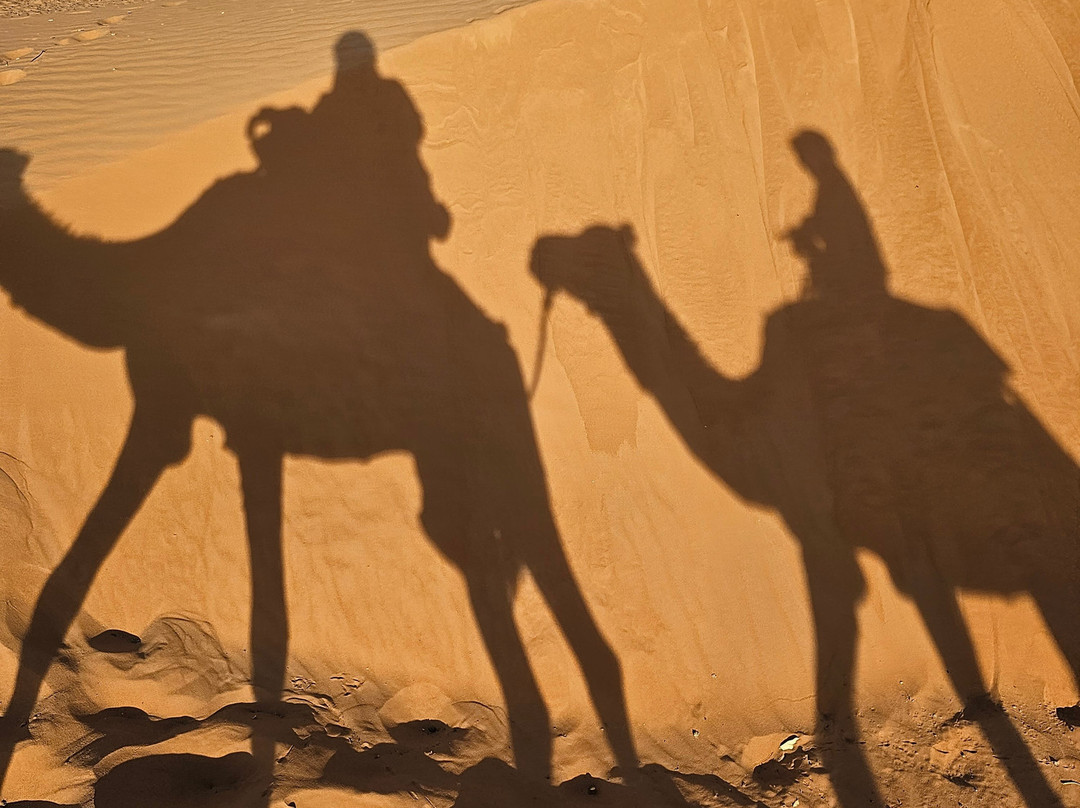 Morocco Customized Tours-Ifrane必去景点