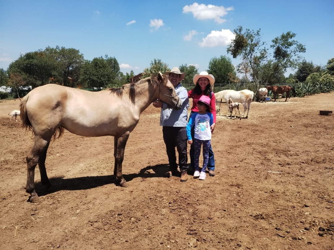 Caballos Huasca Tours-华斯卡德奥坎波必去景点