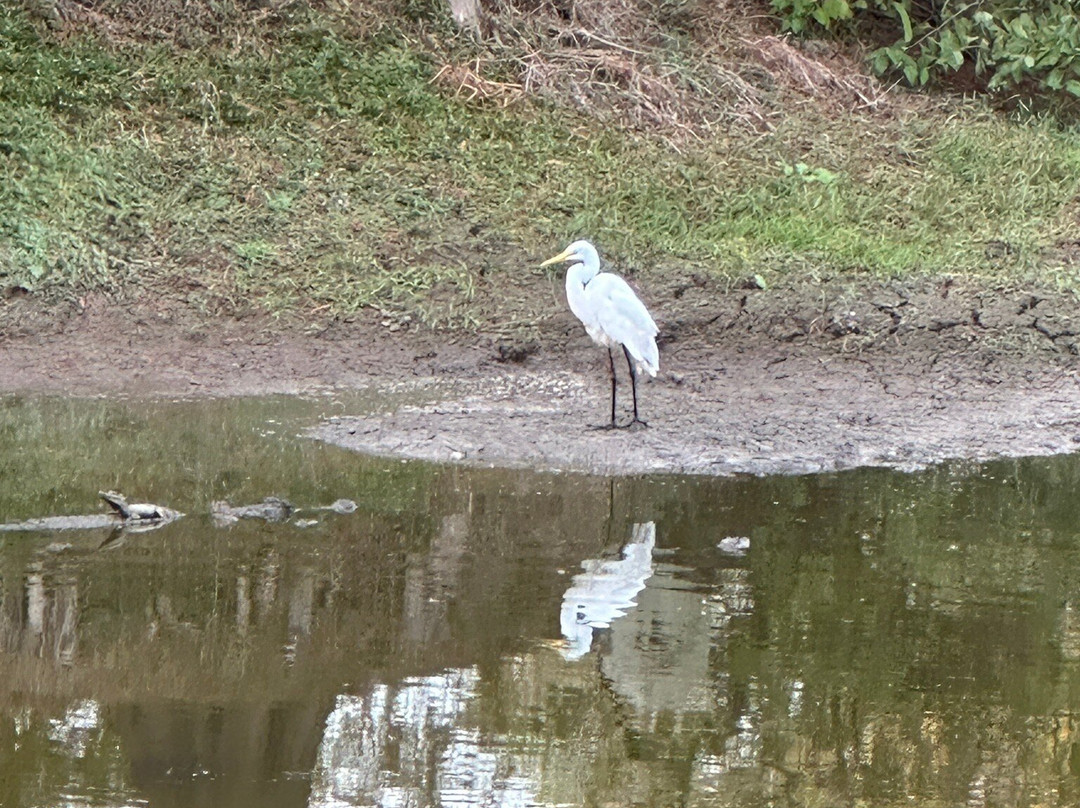 Woodland Plantation - A Country Inn主图