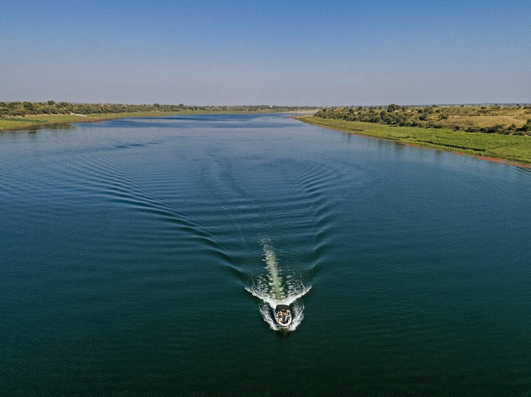 Chambal River Safari景点图片