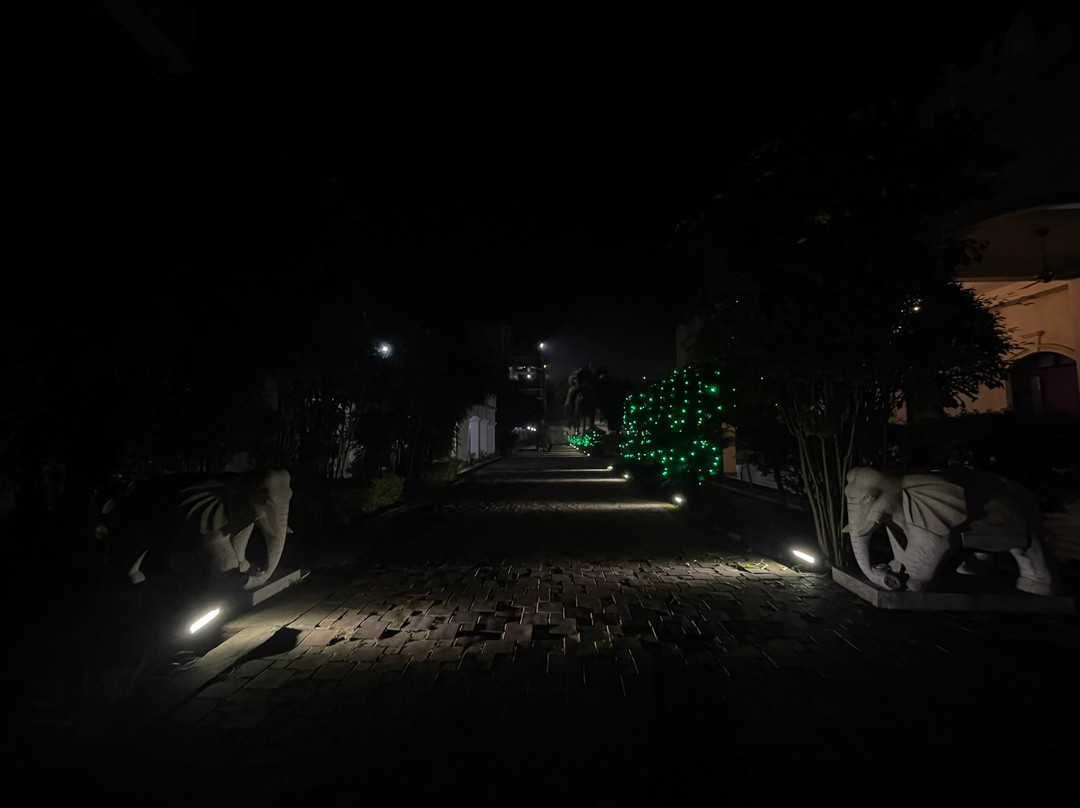 Orangepetal Exotic Nucleus Hill View主图