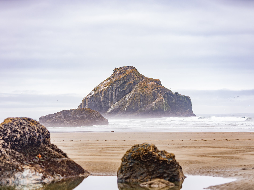 Bandon State Park-班登必去景点