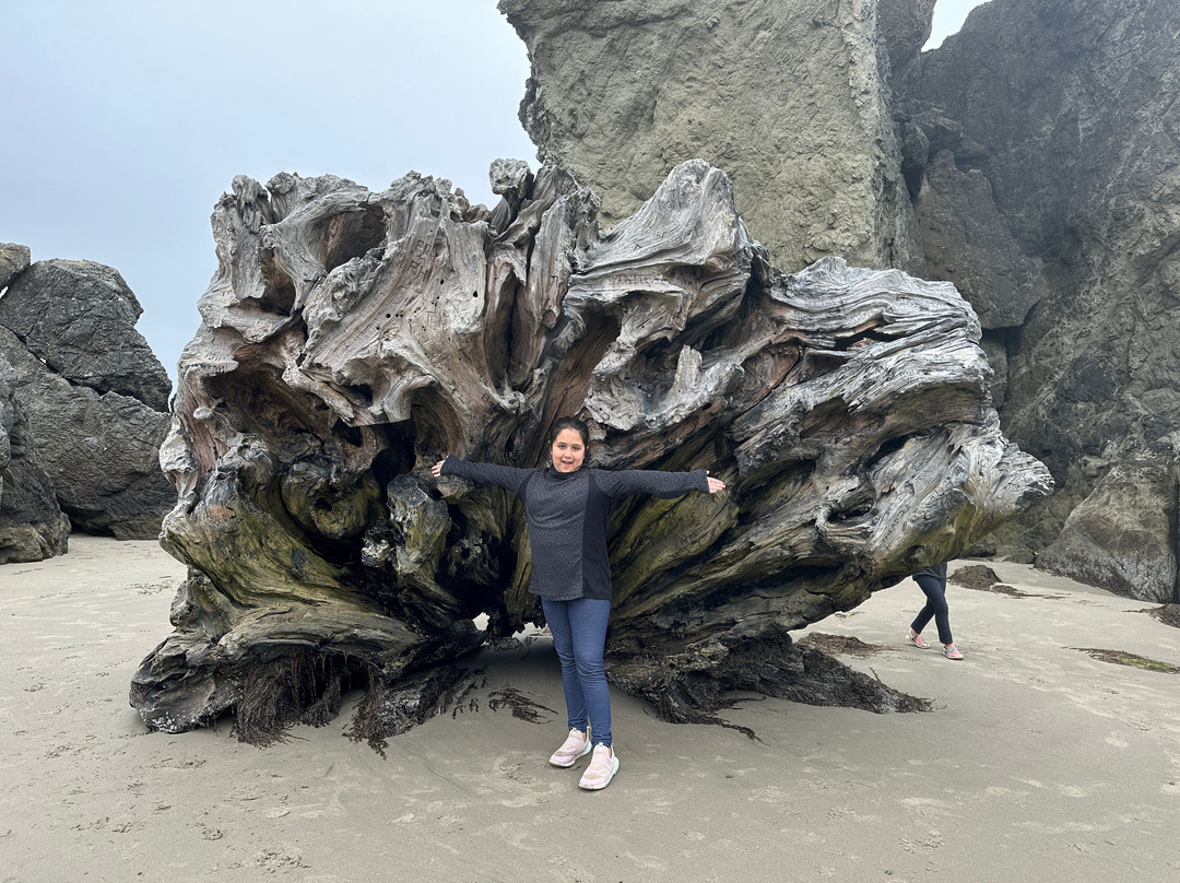 Bandon State Park-班登必去景点