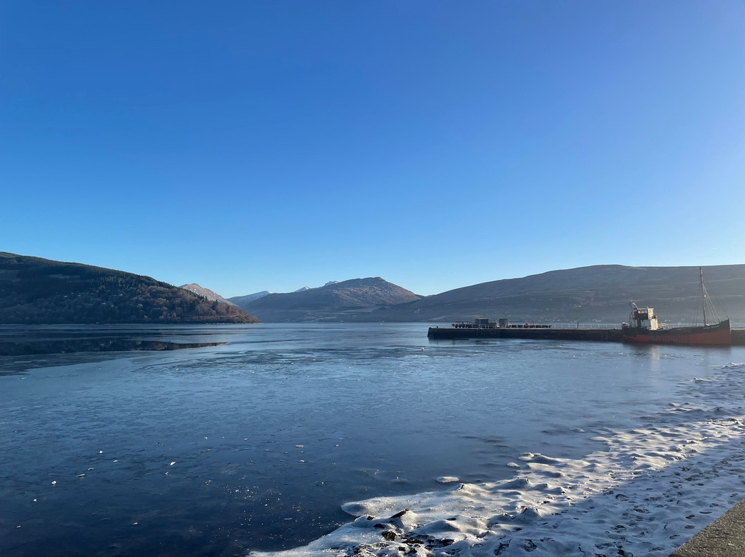Brambles of Inveraray主图