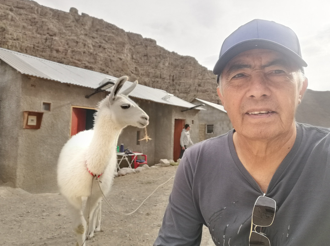 Chusmiza-伊基克必去景点