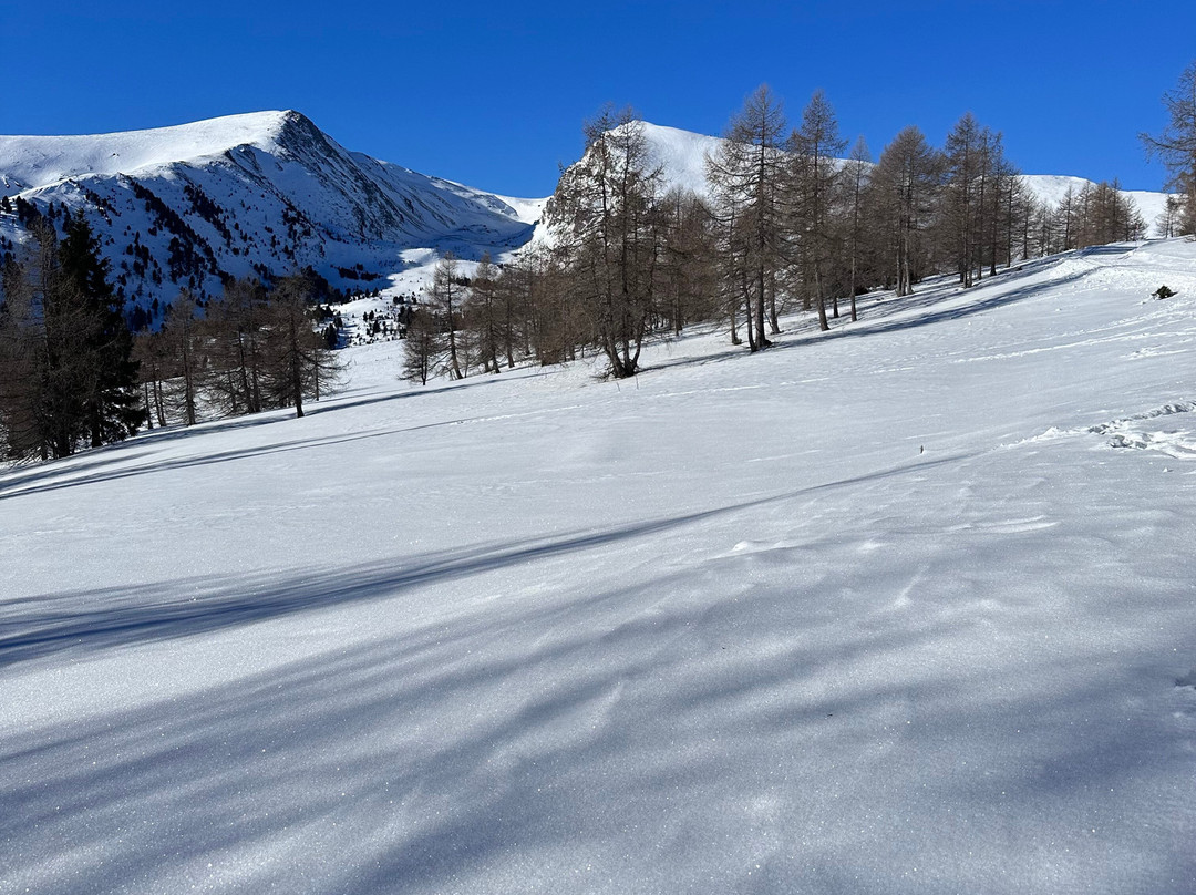 Heidi-Hotel Falkertsee主图