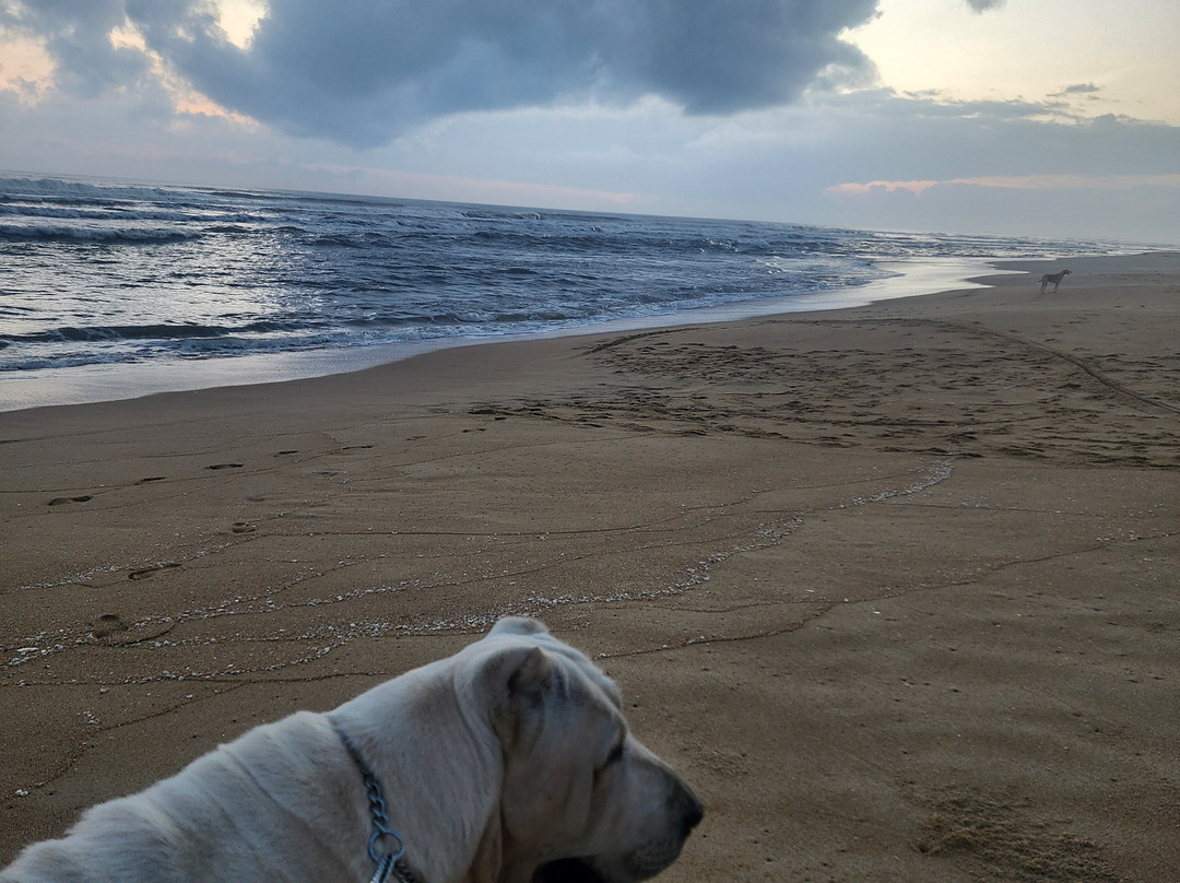 Tam Thanh Beach-Tam Ky必去景点