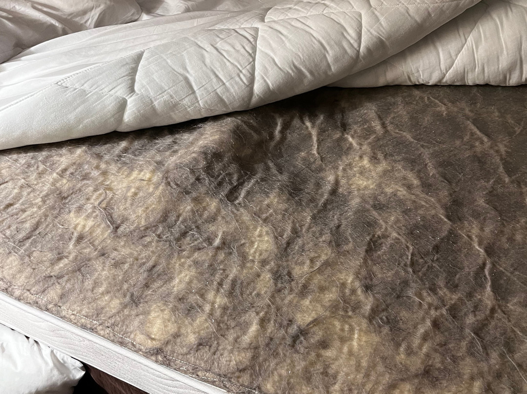 Comfort Suites主图