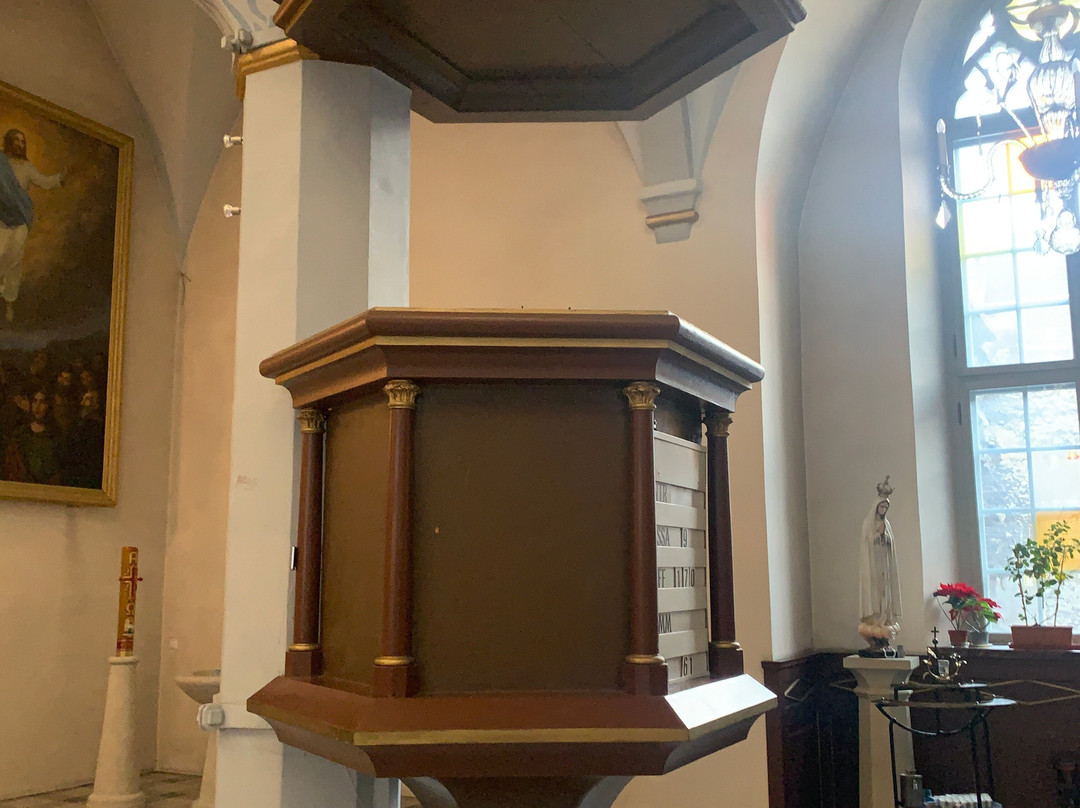 Catholic Cathedral of St Peter & St Paul-塔林必去景点