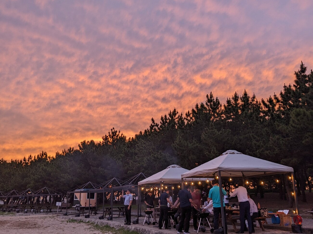 Takasago Seaside Park-高砂市必去景点
