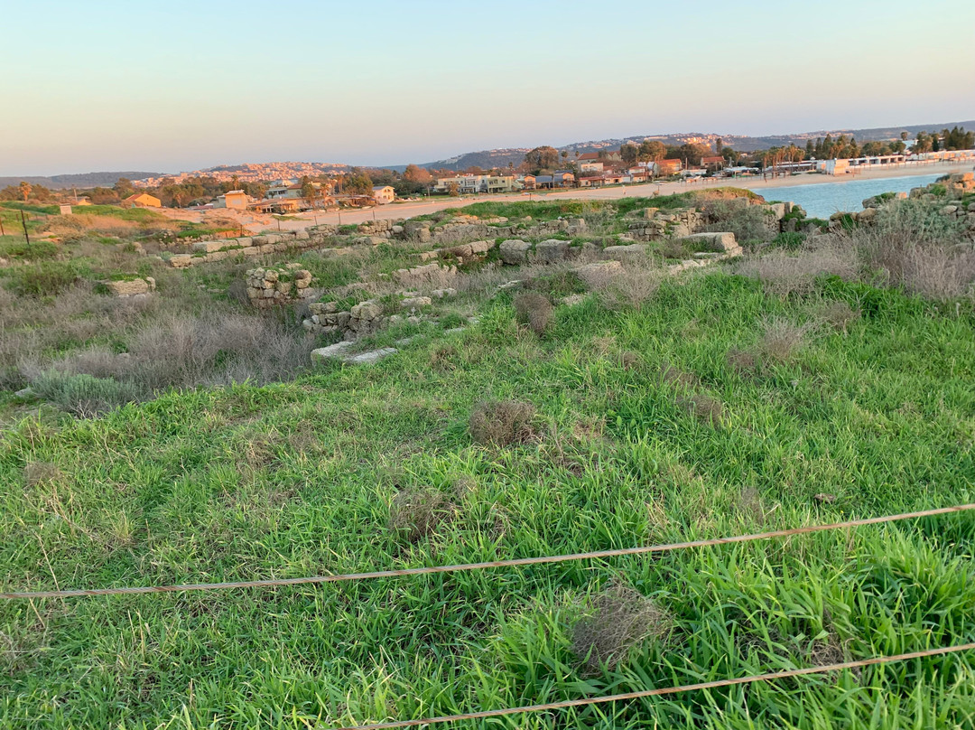 Tel Dor National Park景点图片