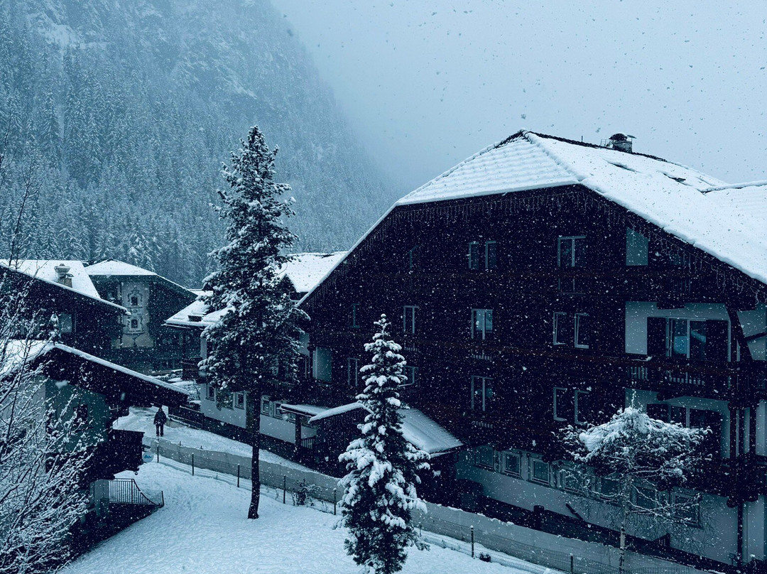 Hotel Gran Chalet Soreghes主图