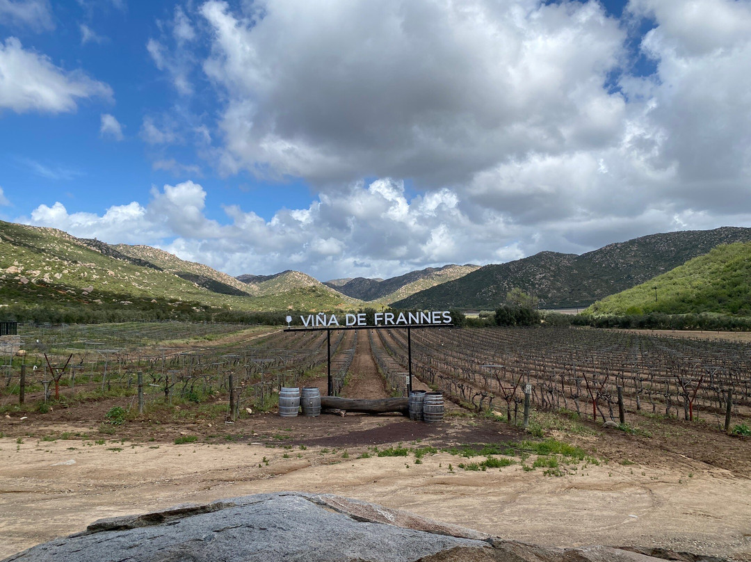 Vina de Frannes景点图片