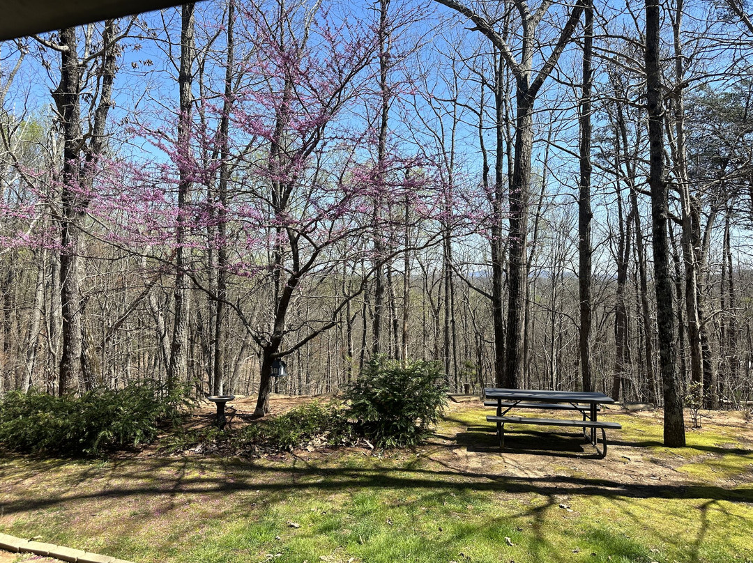 Barefoot Hills主图