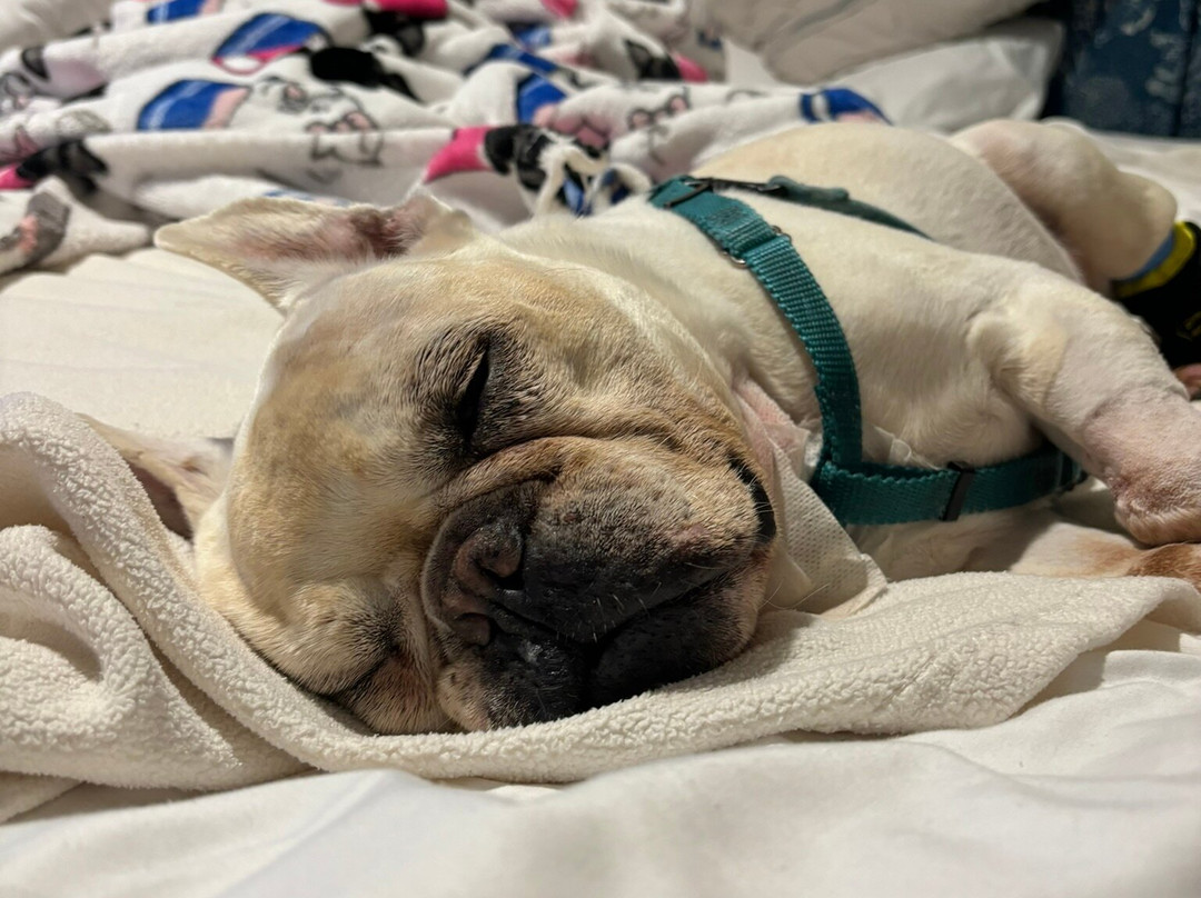 冲浪顶酒店及游泳俱乐部主图