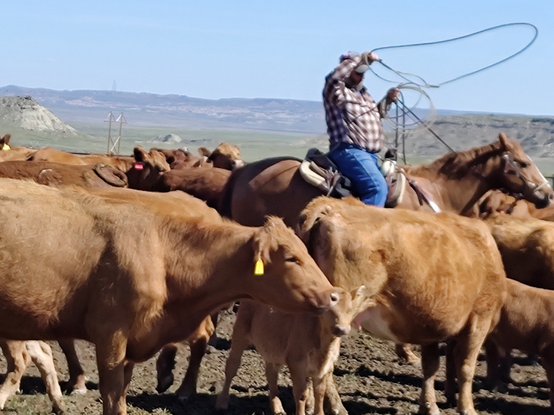 Two Creek Ranch主图