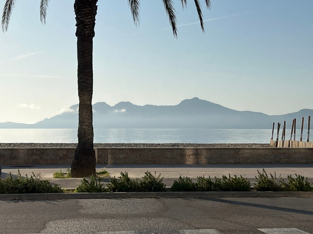 Playa del Puerto de Pollensa-波连萨必去景点