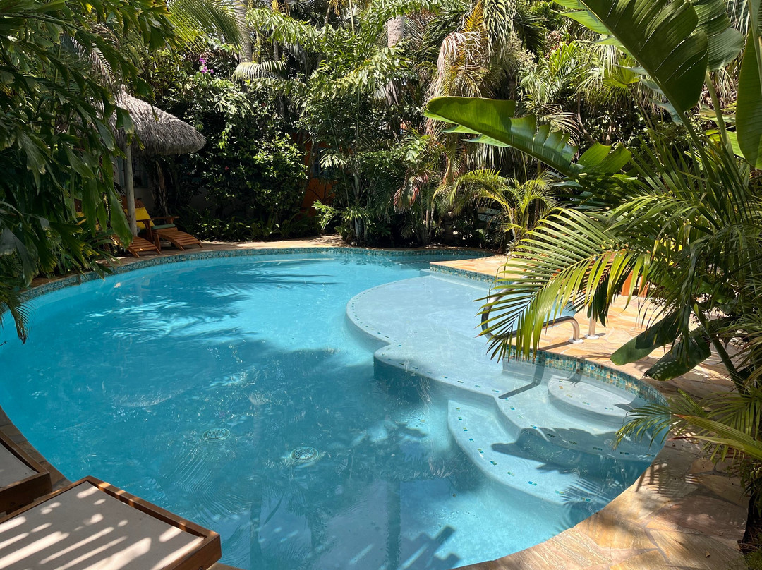 阿鲁巴布劳德沃克酒店主图