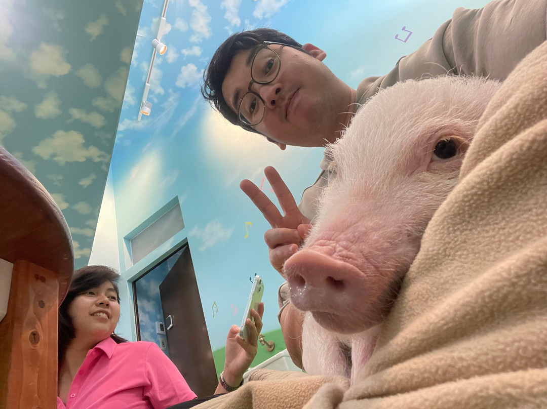 Mipig Cafe Aeon Laketown-越谷市必去景点