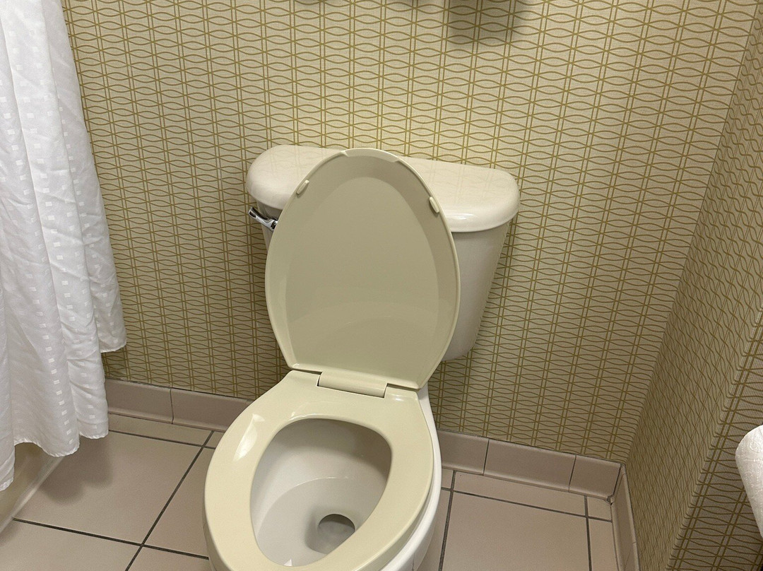 克里斯钦堡快捷假日&套房酒店主图