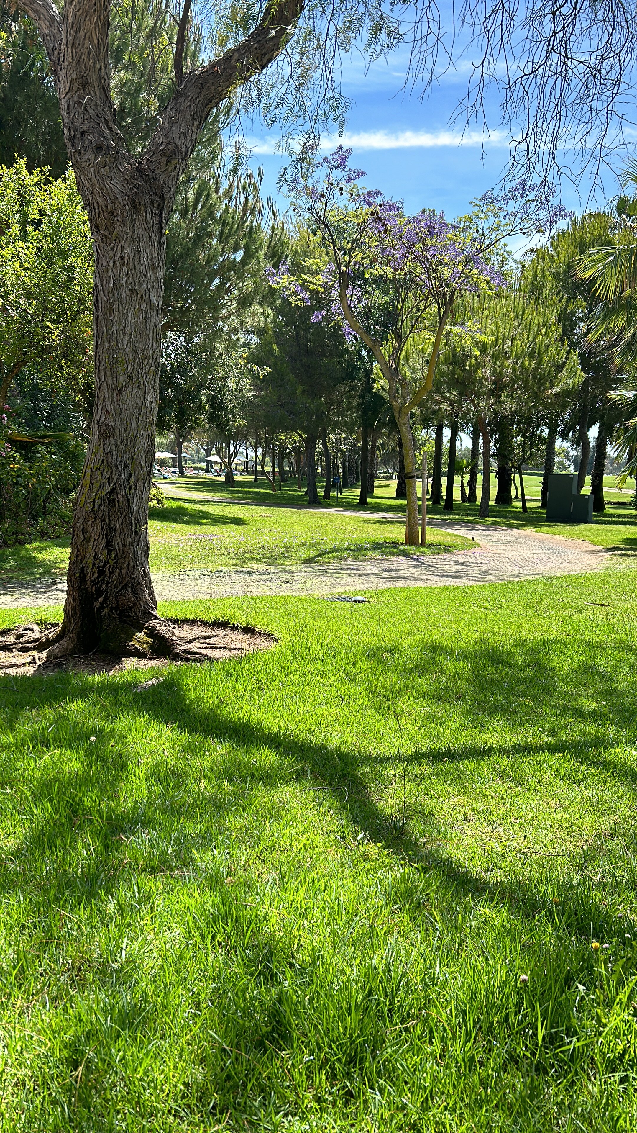 Robinson Quinta Da Ria-浴室