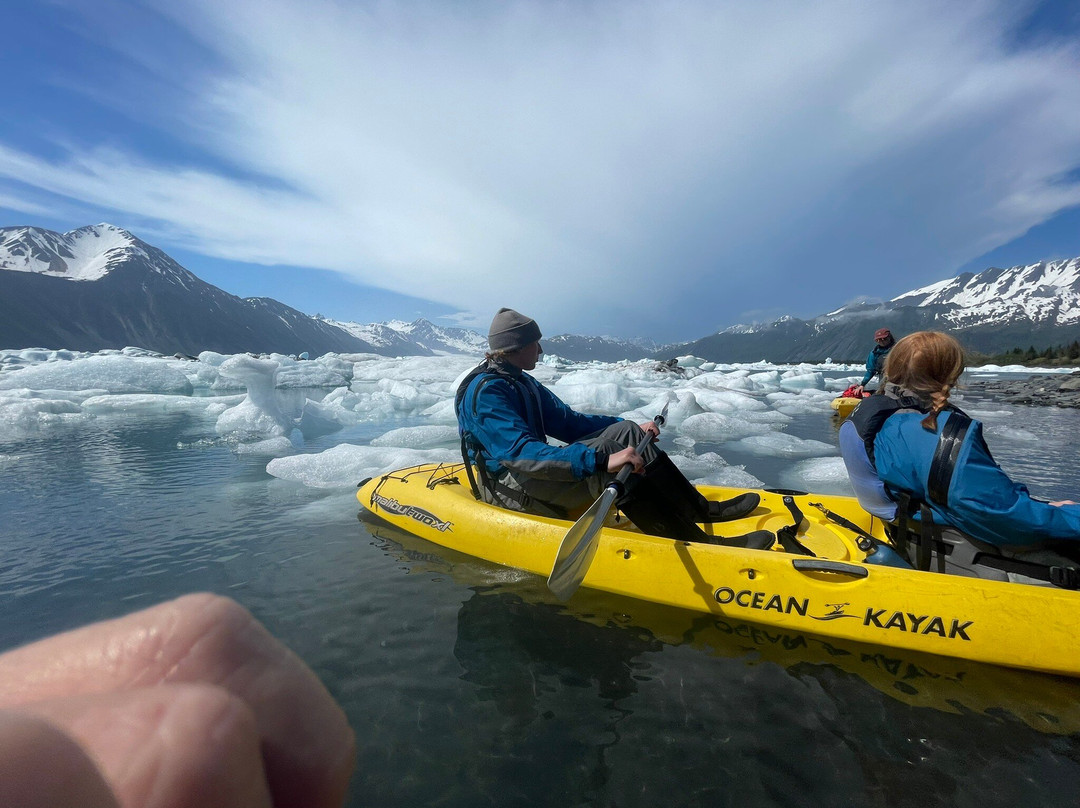Bear Glacier-苏厄德必去景点