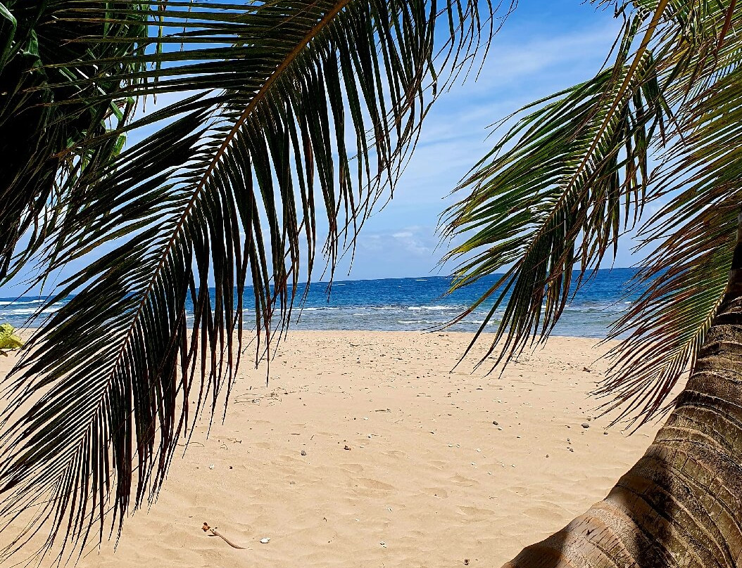 Haena Beach Park-哈耶纳必去景点