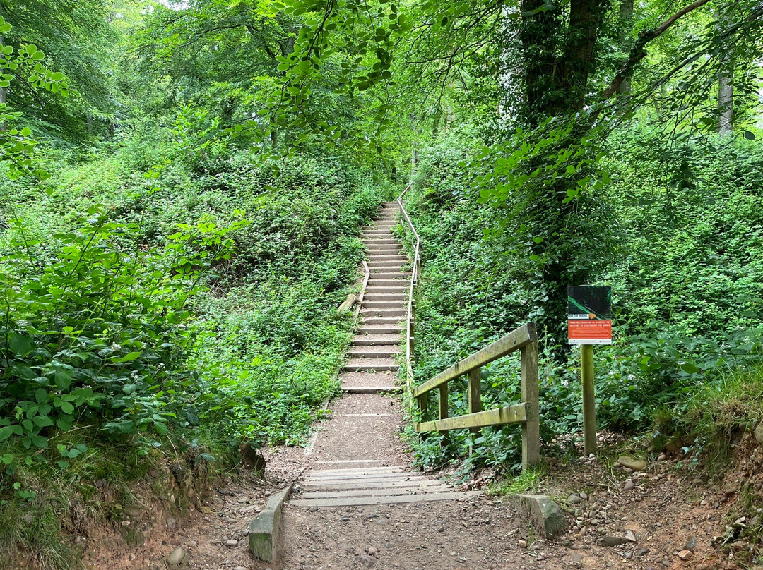 Woodbury Castle-Woodbury Salterton必去景点