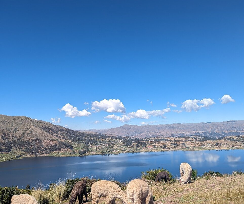 Alpaca Trek Adventures-Chinchero必去景点
