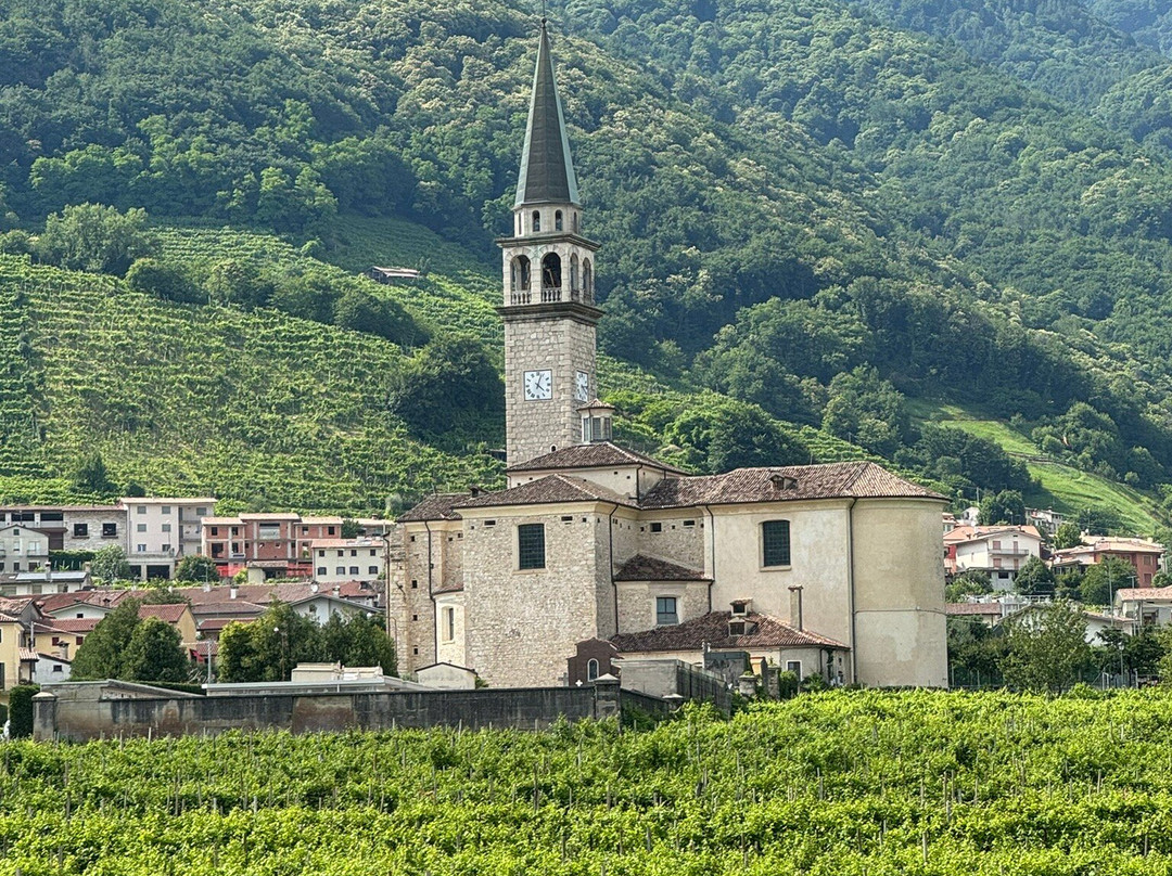 Nani Rizzi Spumanti di Valdobbiadene景点图片