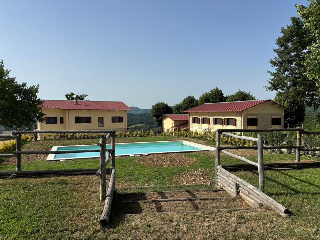 Fattoria Del Borgo In Sabina景点图片