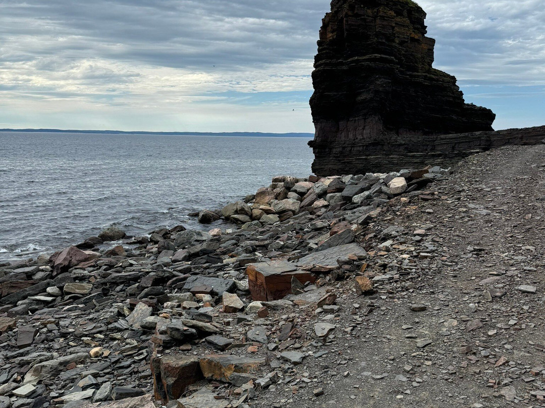 Bell Island Natural Walking Trails景点图片