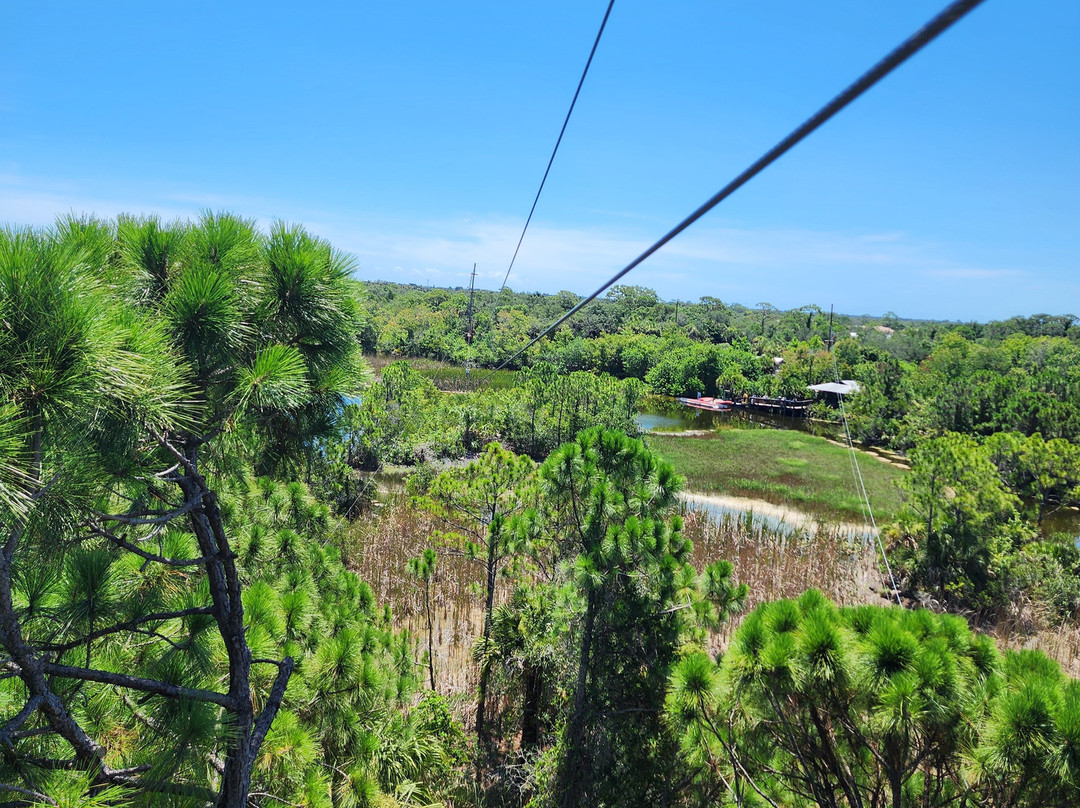 Treetop Trek景点图片