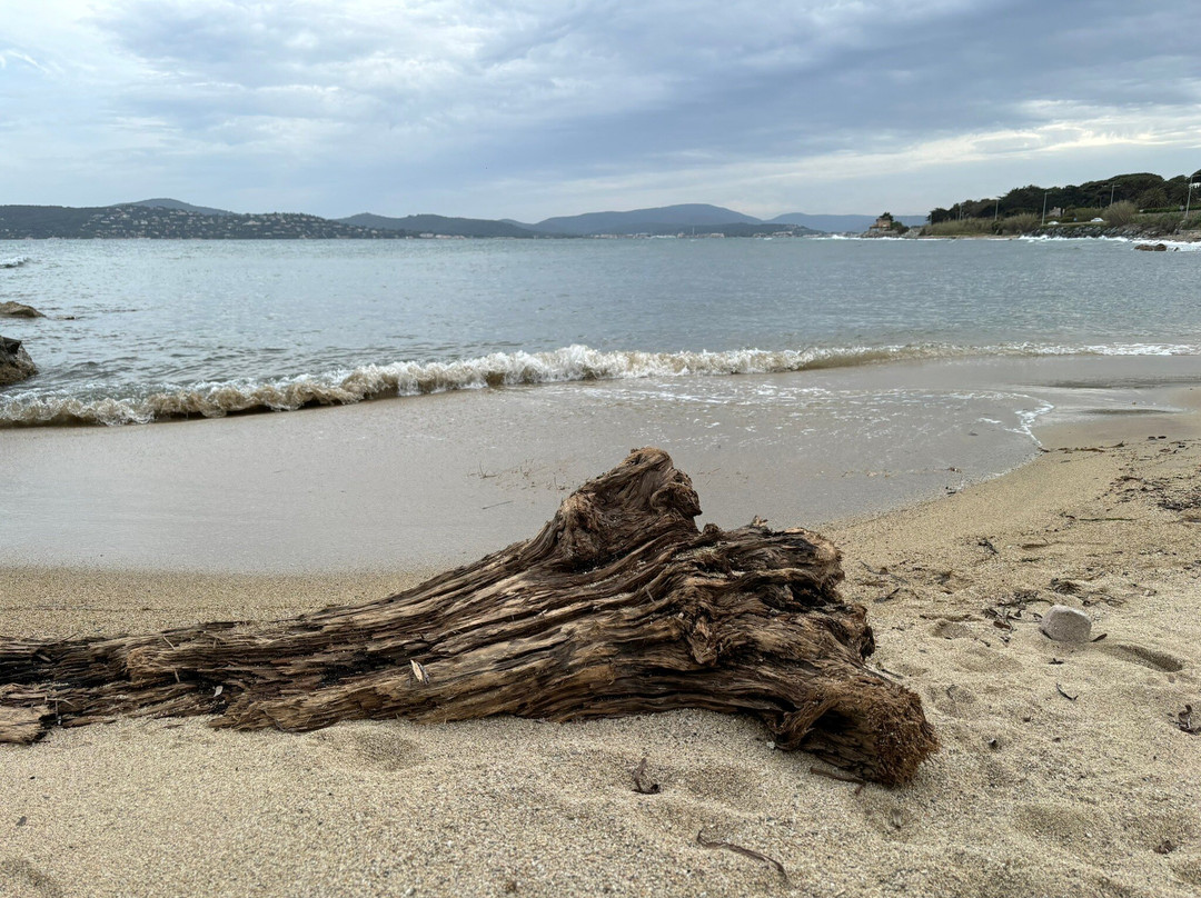 Plage des Cigales-格里莫必去景点