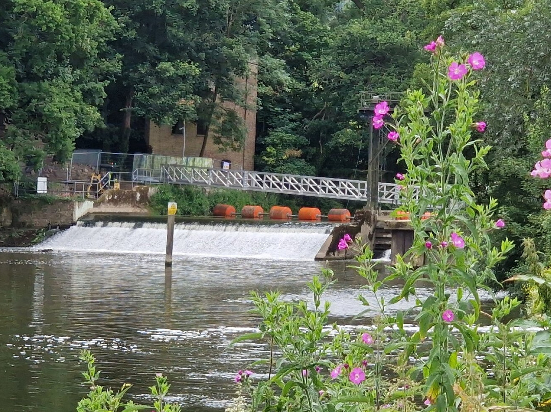 Teston Bridge Country Park景点图片