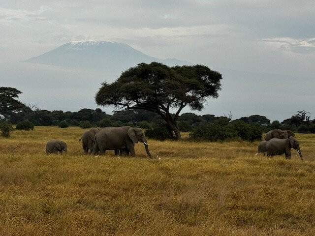 Meander Africa Safaris景点图片