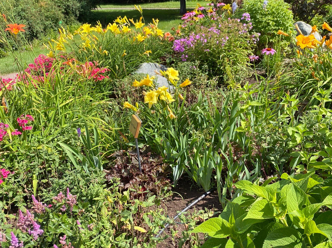 Irving Arboretum-Bouctouche必去景点