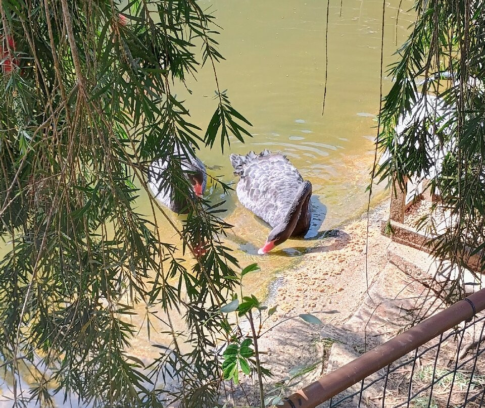 Honey Museum景点图片