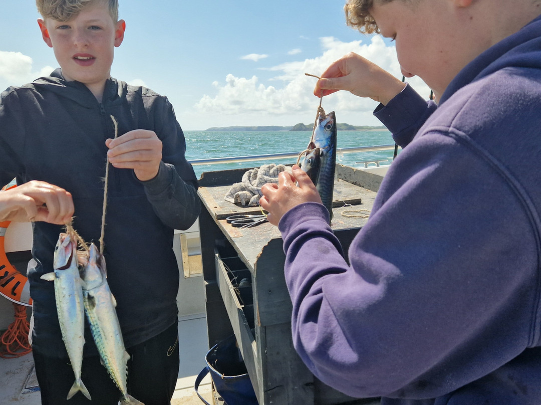 Tenby Sea Fishing景点图片