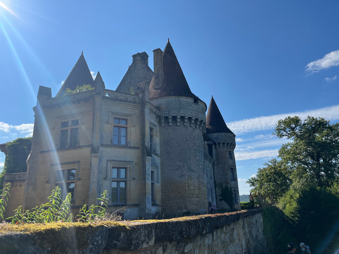 Chateau de Marzac景点图片