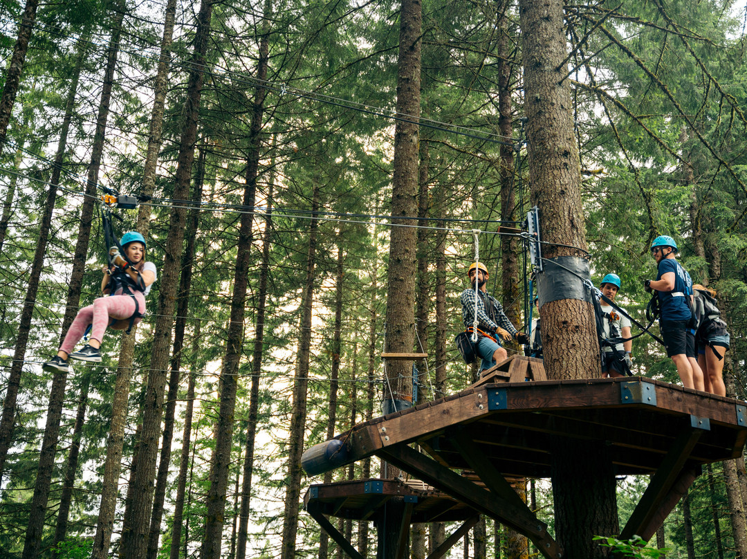 Pumpkin Ridge Zip Tour-North Plains必去景点