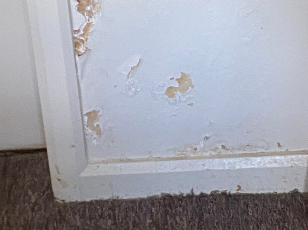 大中央汽车旅馆主图