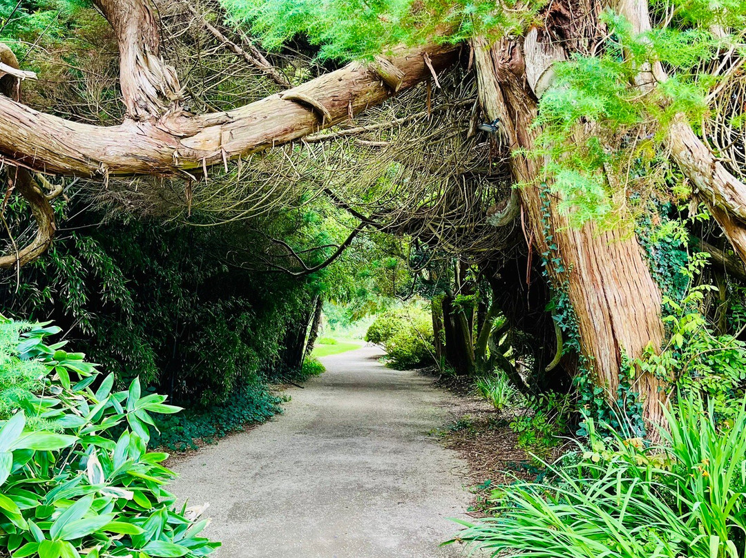 Château de Lanniron - Parc & jardins-坎佩尔必去景点