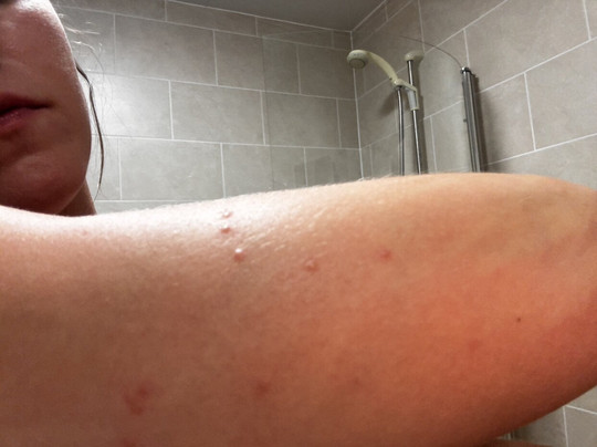 Residenza La Campana主图