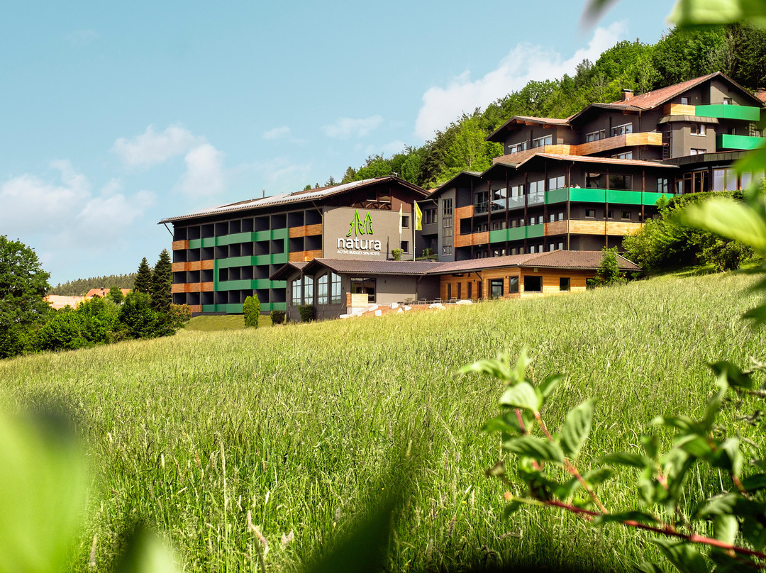 Natura Hotel Bodenmais主图