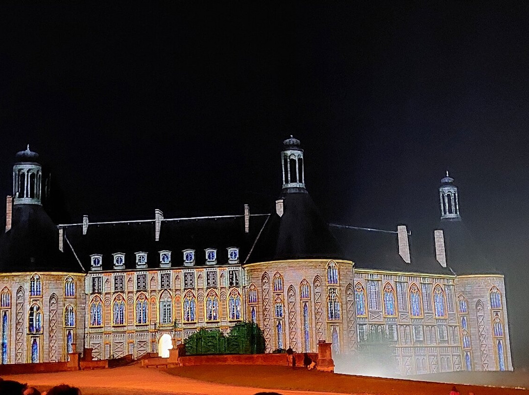 Castle of Saint Fargeau History Show景点图片