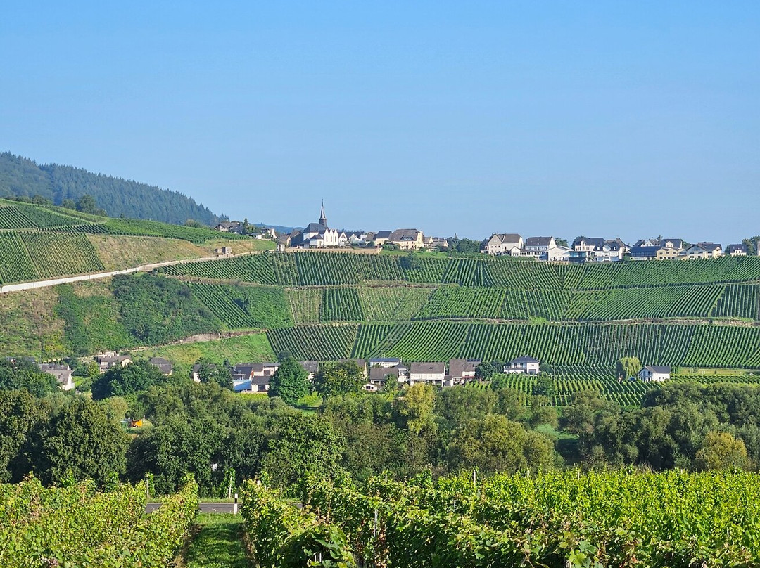 Weingut-Pension Tiliahof主图