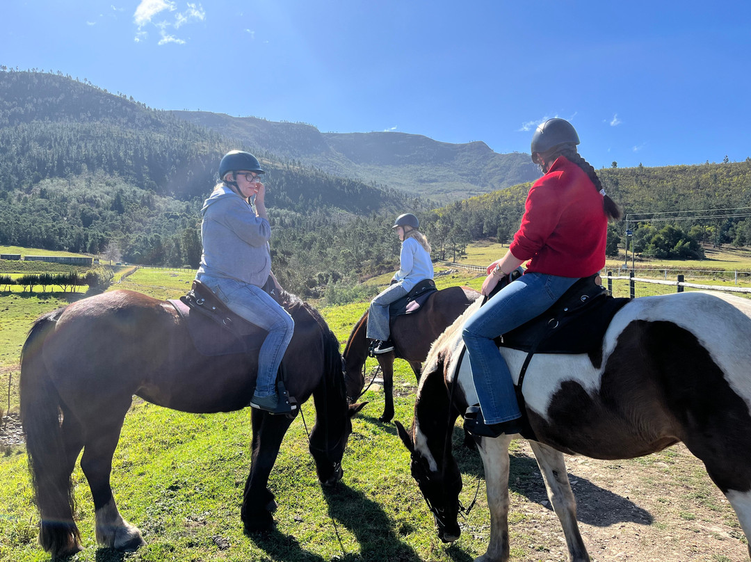 Kurland Park Horse Trails-普利登堡湾必去景点